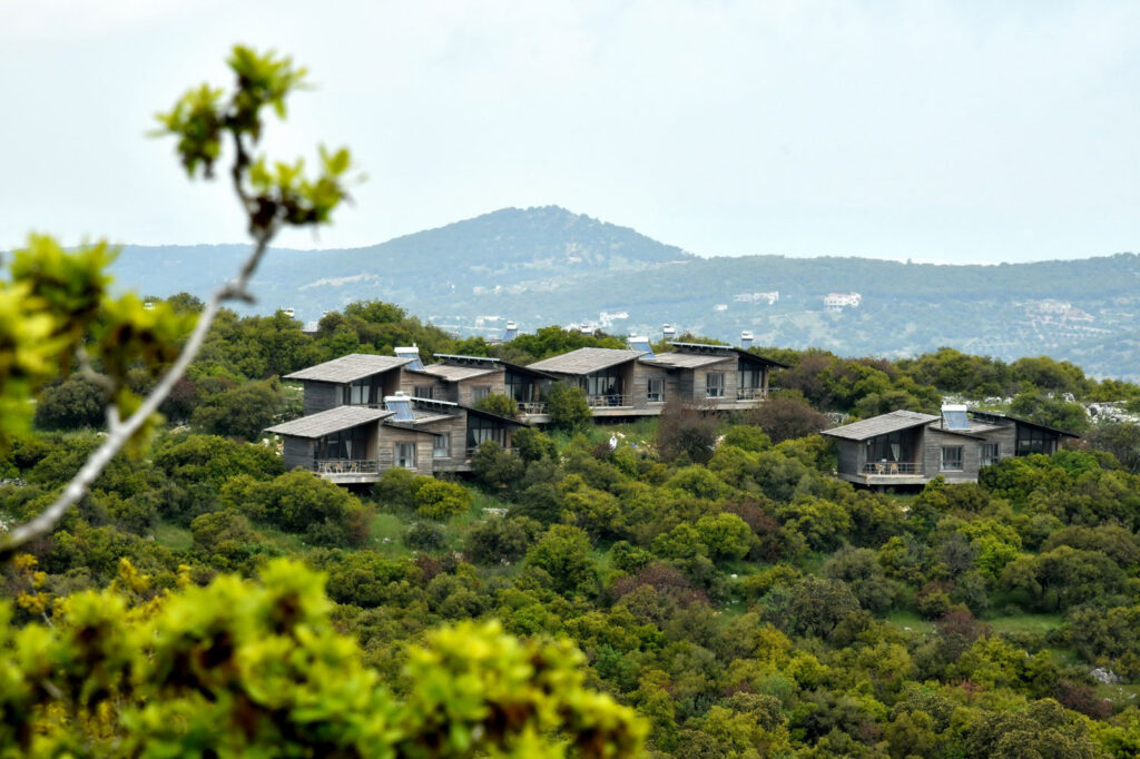 Ajloun Forest Reserve